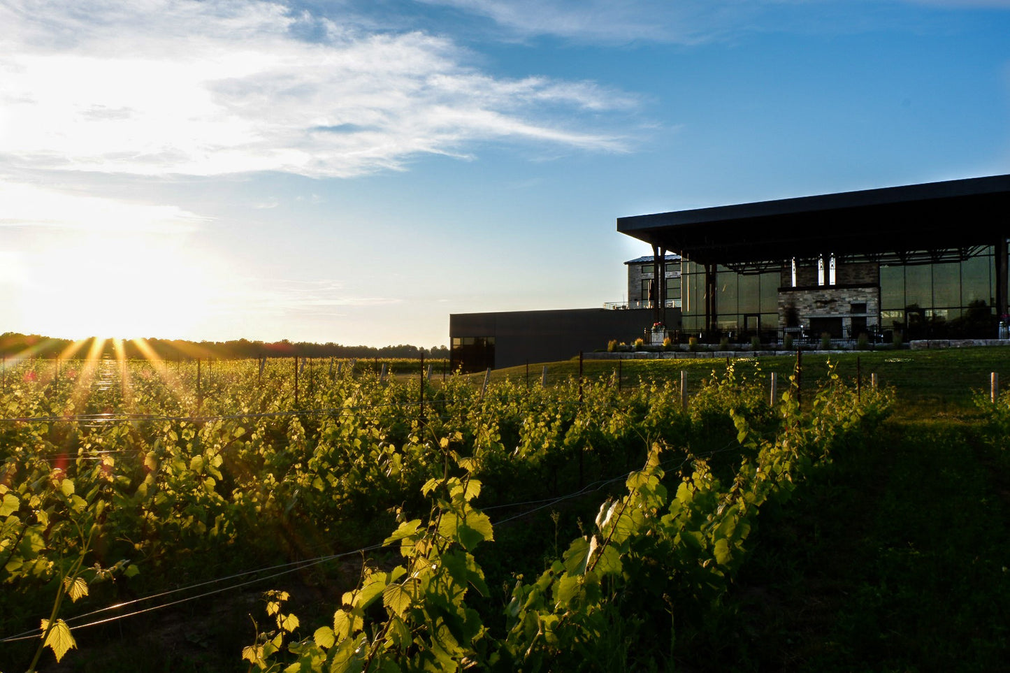 Dark Horse Estate Winery Sunset Flight - Grand Bend