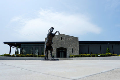Dark Horse Estate Winery Sunset Flight - Grand Bend