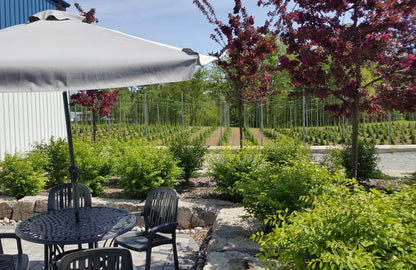 Rambling Road Brewery - Kitchener