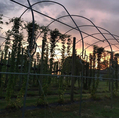 Rambling Road Brewery - Kitchener