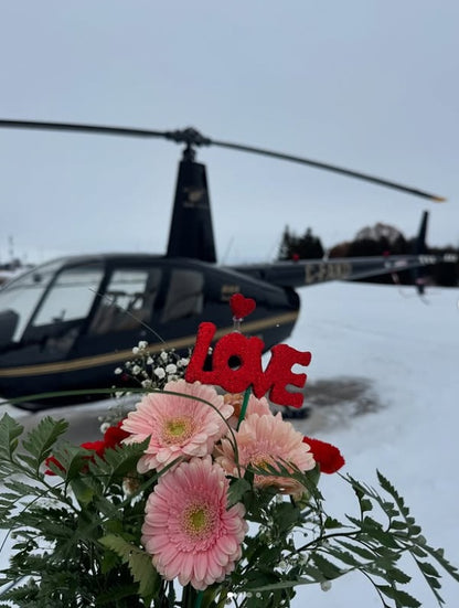 Valentine's Day Flight Experience
